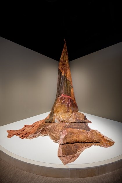 Foto mineral Lick karya Dala Nasser yang menggunakan kain untuk ‘merekam’ air minum di Beirut