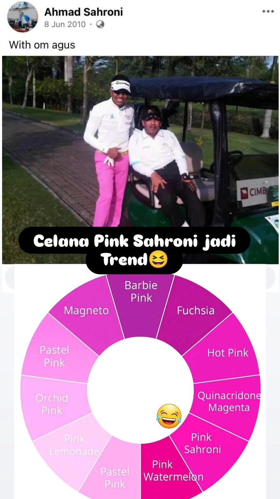 A meme making fun of Ahmad Sahroni