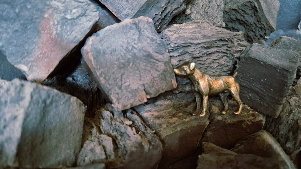 foto anjing dengan latar batu-batu